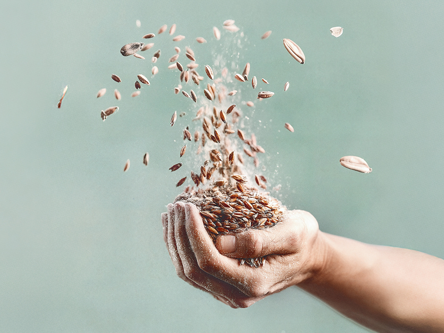 the source bulk food offer 